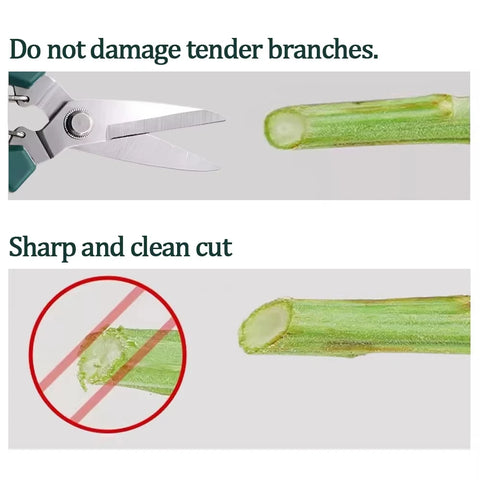 Garden Tools Secateurs Bonsai Shears Metal Gardening Scissor Pruning Tool Hand Cutter Fruit Picking Weed Household Potted