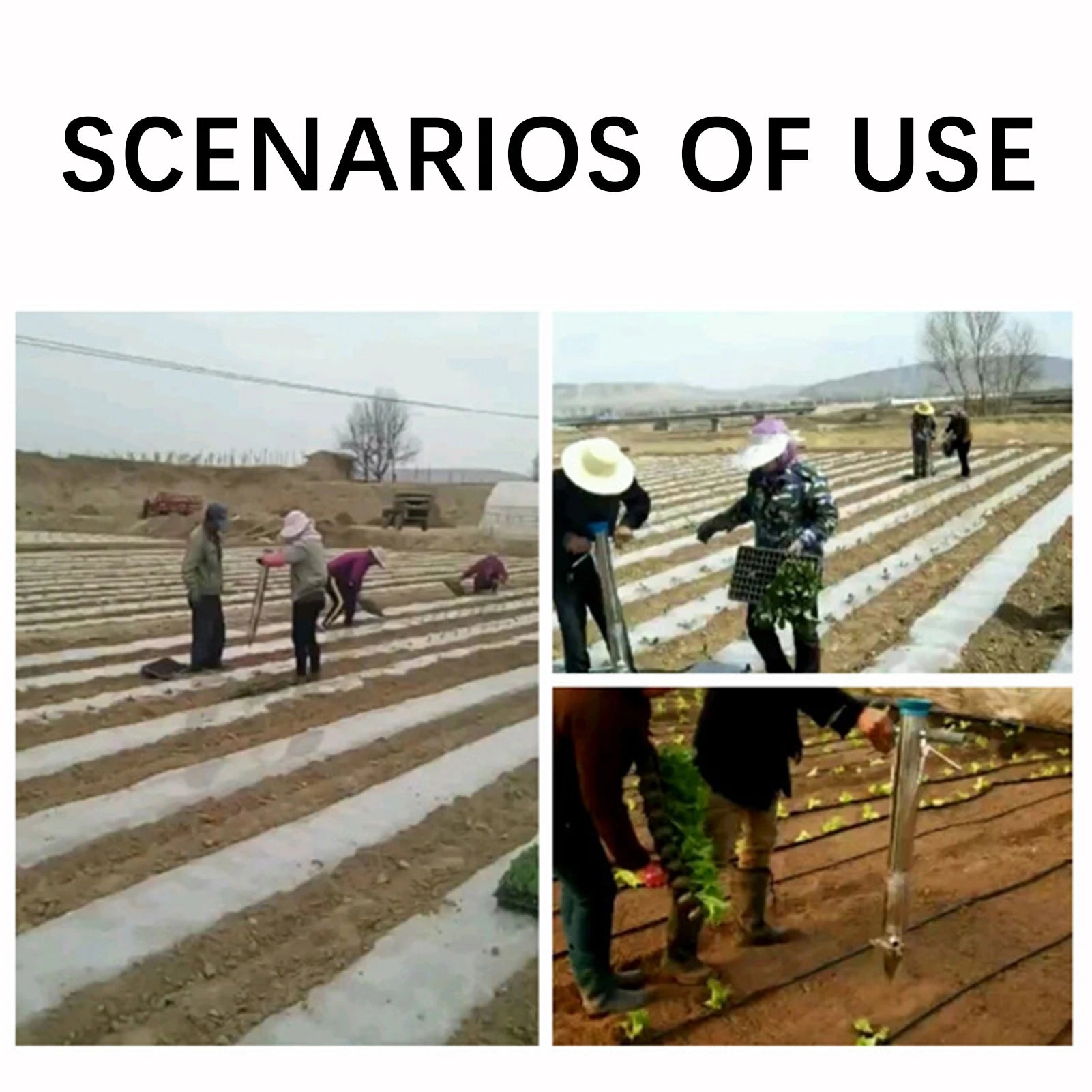 Plant Transplanting Tool Seedling Transplanter Portable Multipurpose Transplanting Seedling Planter For Vegetable Garden